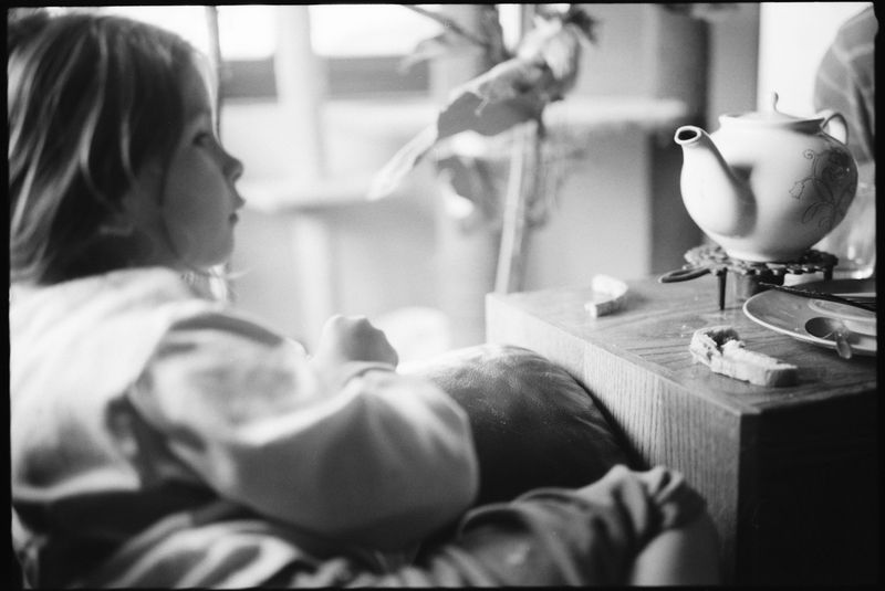 © Adam Kencki - Image from the house at hundred cats photography project