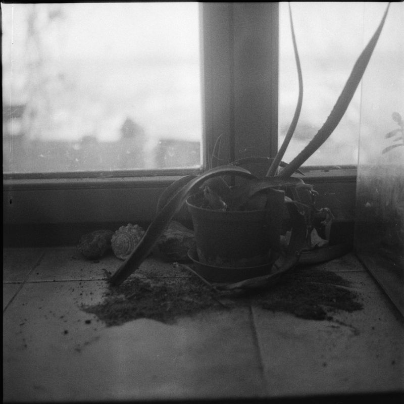 © Adam Kencki - Image from the house at hundred cats photography project