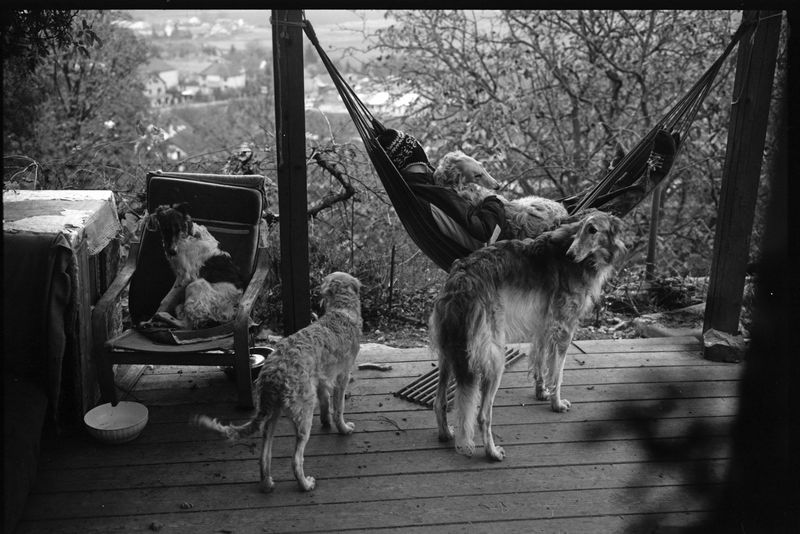 © Adam Kencki - Image from the house at hundred cats photography project