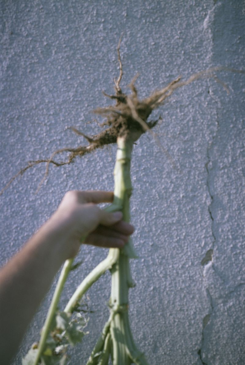 © Adam Kencki - Image from the Home Again photography project