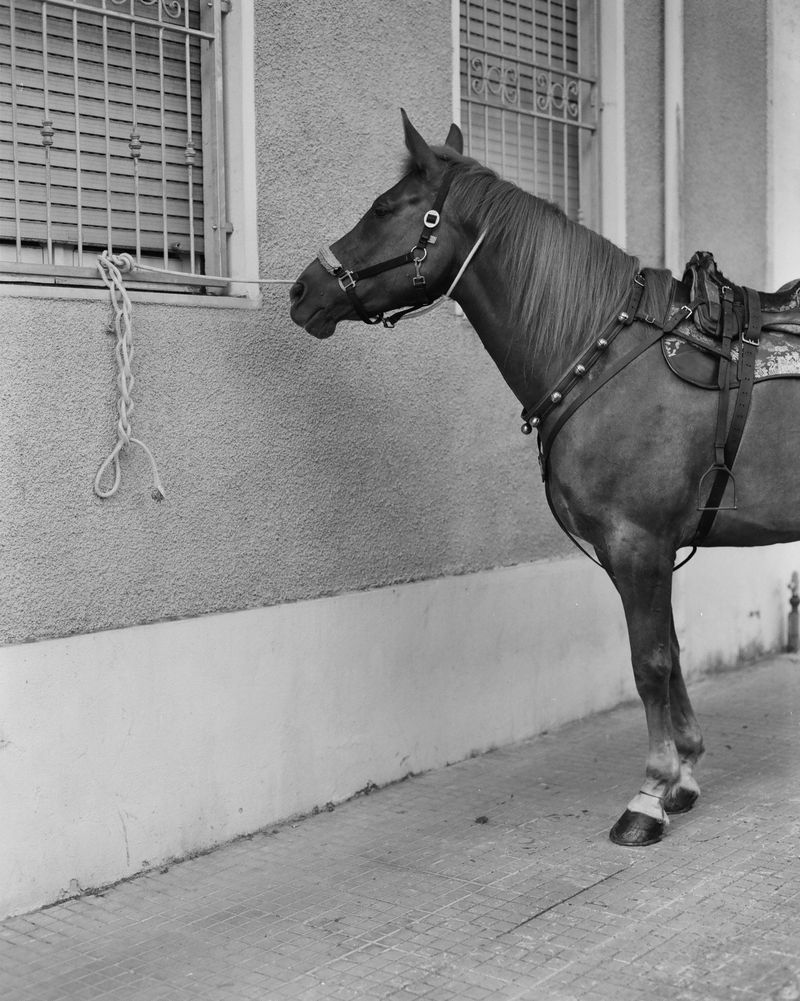 © Axel Swan Maldini - Image from the Where the Boot Bends photography project