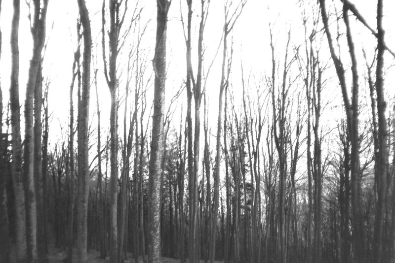 © Lorenzo Villa - Image from the di|stru|zió|ne photography project