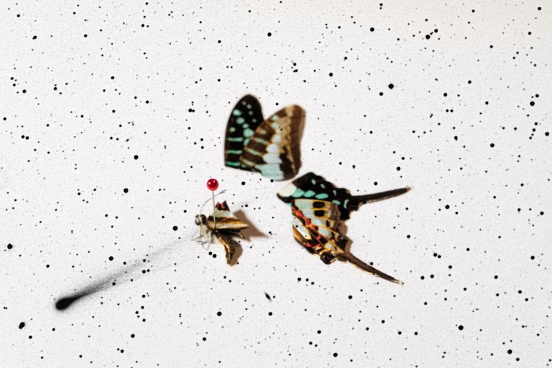 © Starry Kong - Image from the It's still Dark, but sometimes I see the Stars photography project