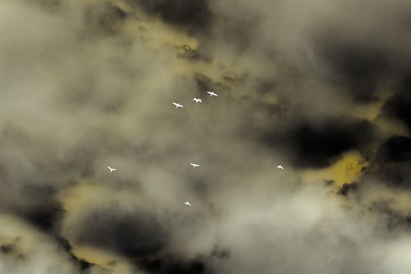 © Starry Kong - Image from the It's still Dark, but sometimes I see the Stars photography project