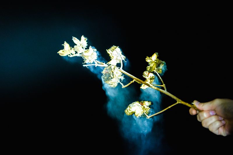 © Starry Kong - Image from the You can't walk this earth forever. Someday you will have to fly. photography project