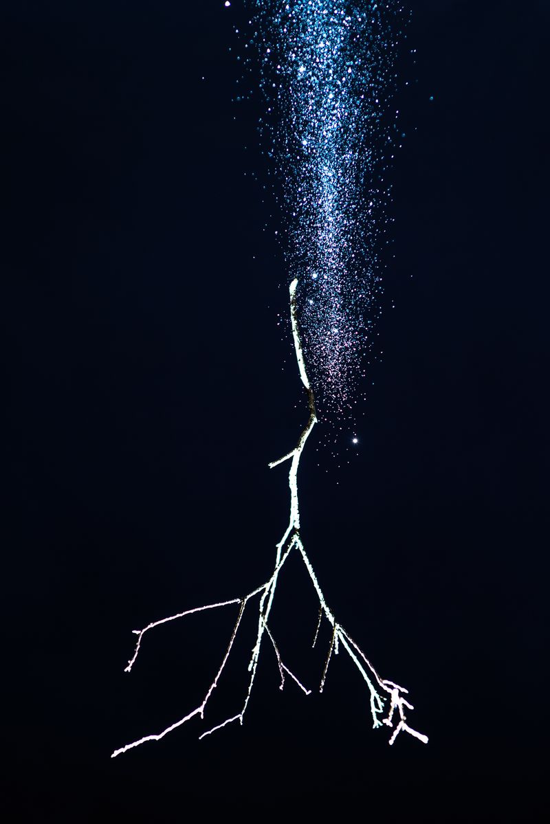 © Starry Kong - Image from the You can't walk this earth forever. Someday you will have to fly. photography project