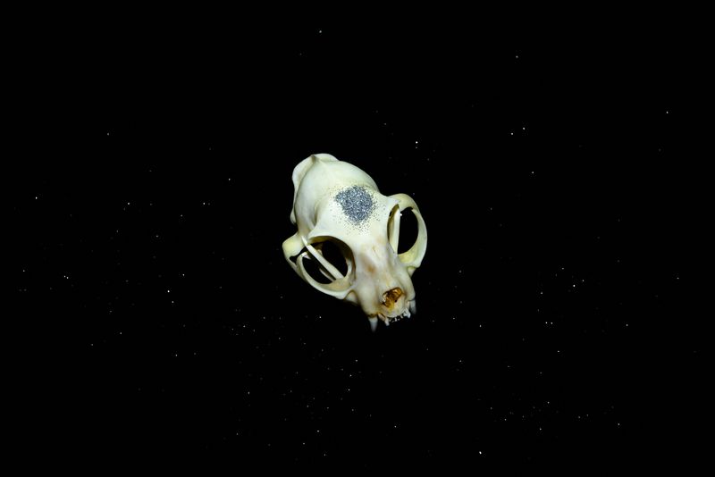 © Starry Kong - Image from the You can't walk this earth forever. Someday you will have to fly. photography project