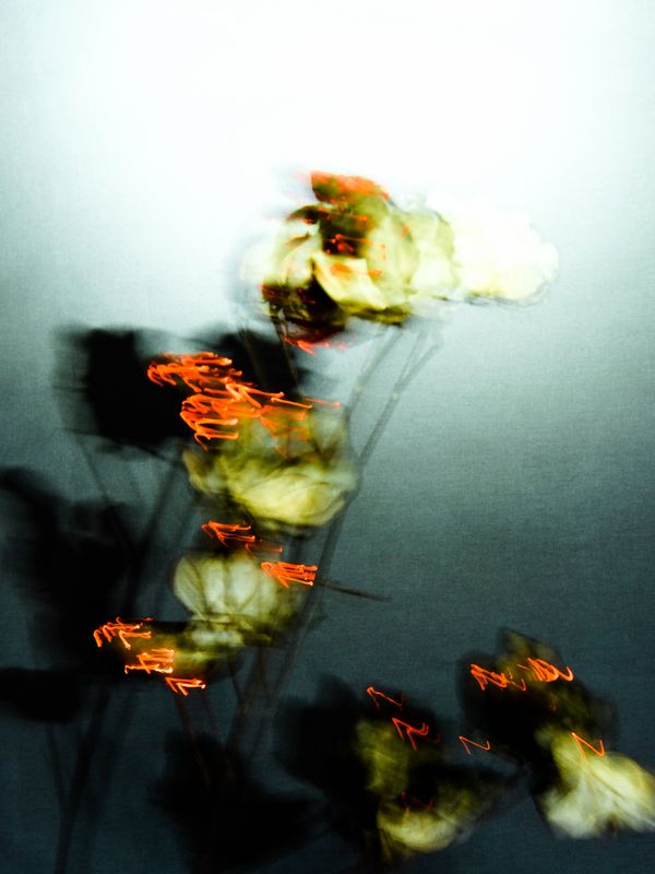 © Starry Kong - Image from the You can't walk this earth forever. Someday you will have to fly. photography project