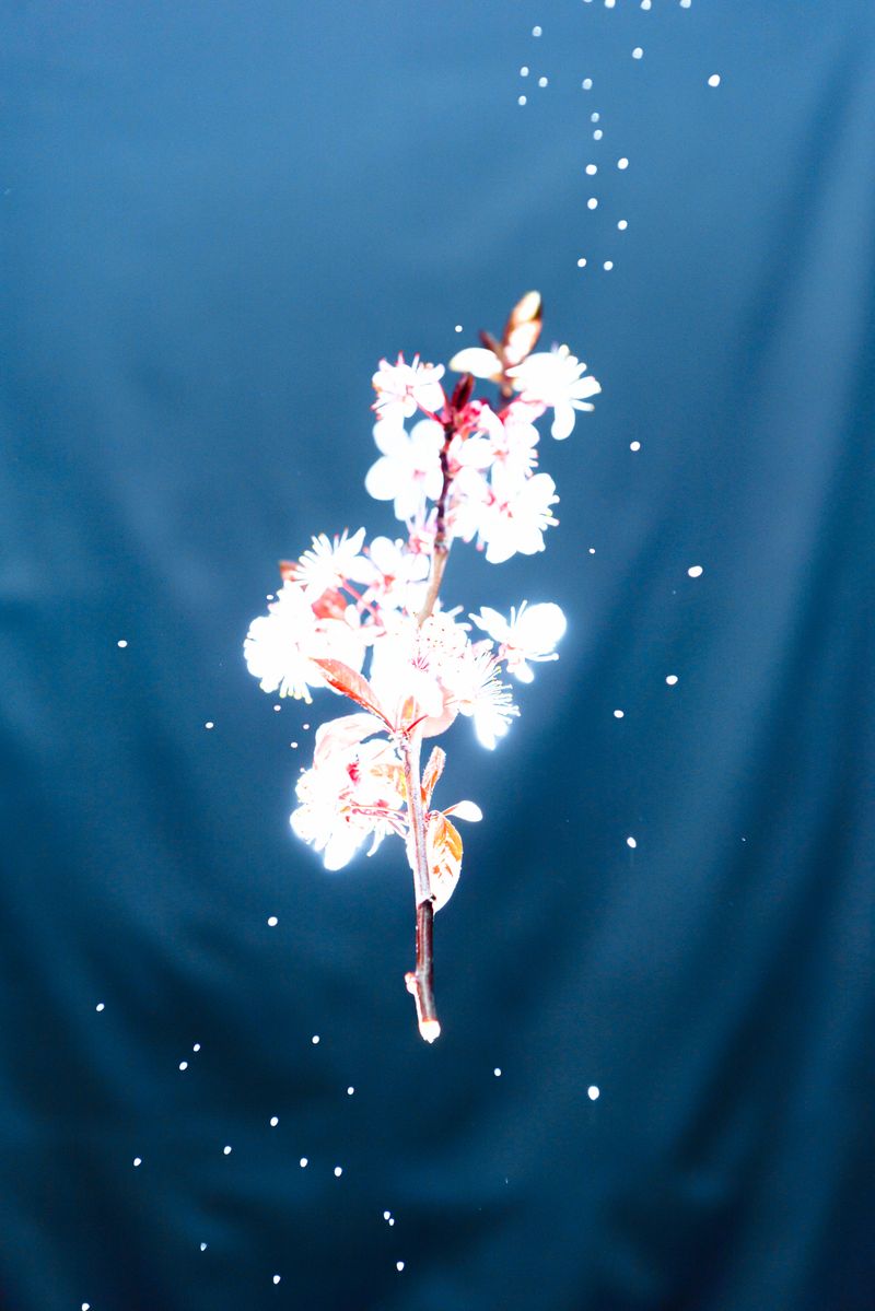 © Starry Kong - Image from the You can't walk this earth forever. Someday you will have to fly. photography project