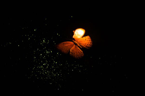 © Starry Kong - Image from the You can't walk this earth forever. Someday you will have to fly. photography project