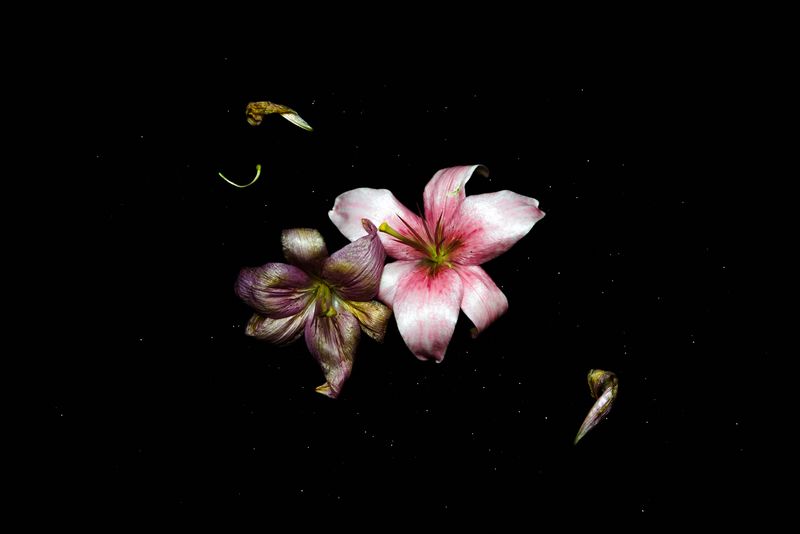 © Starry Kong - Image from the You can't walk this earth forever. Someday you will have to fly. photography project