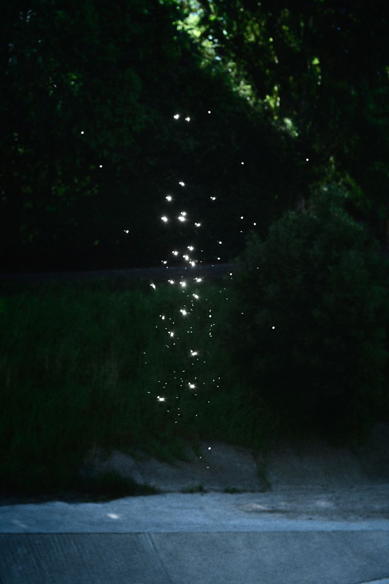 © Starry Kong - Image from the You can't walk this earth forever. Someday you will have to fly. photography project