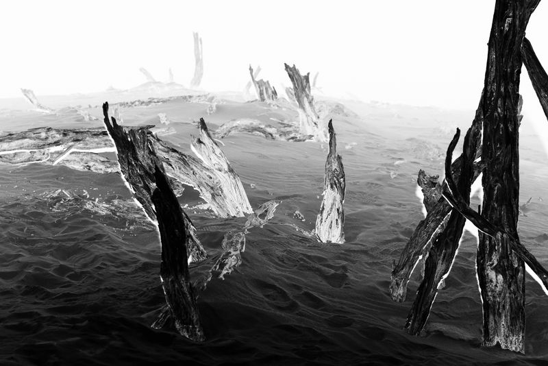 © Starry Kong - Image from the It's still Dark, but sometimes I see the Stars photography project