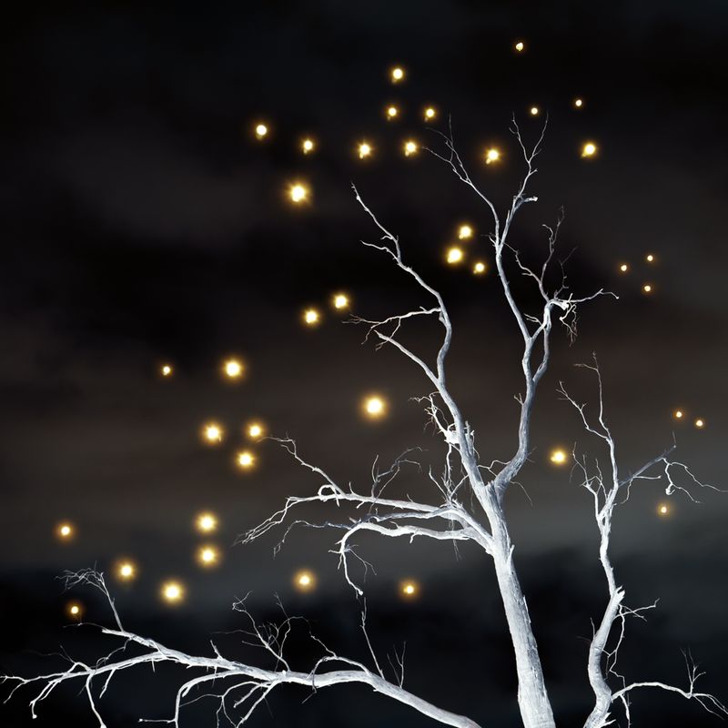 © Starry Kong - Image from the It's still Dark, but sometimes I see the Stars photography project