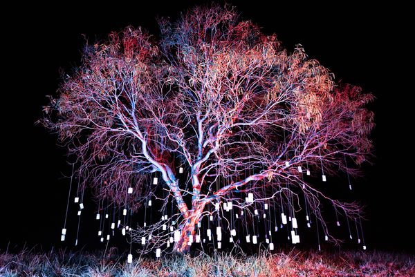 © Starry Kong - Image from the It's still Dark, but sometimes I see the Stars photography project