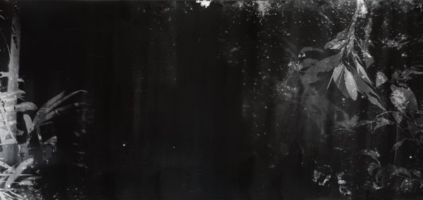© Roberto Huarcaya - Image from the Amazonias photography project