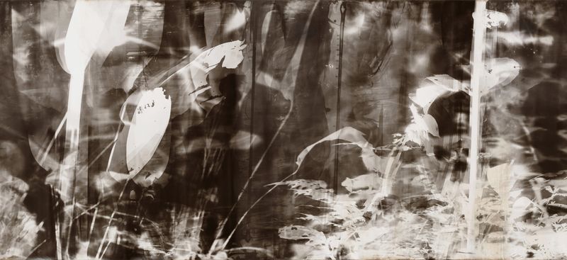 © Roberto Huarcaya - Image from the Amazonias photography project