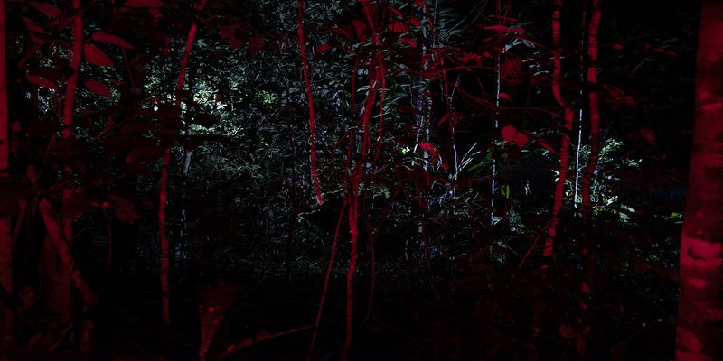 © Roberto Huarcaya - Image from the Amazonias photography project