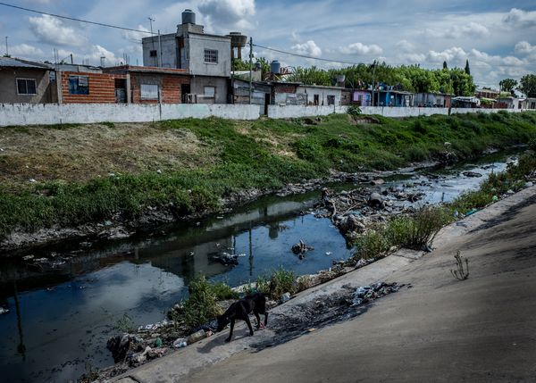 © Karl Mancini - Image from the AMORES PERROS photography project