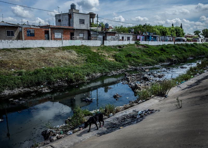 © Karl Mancini - Image from the AMORES PERROS photography project