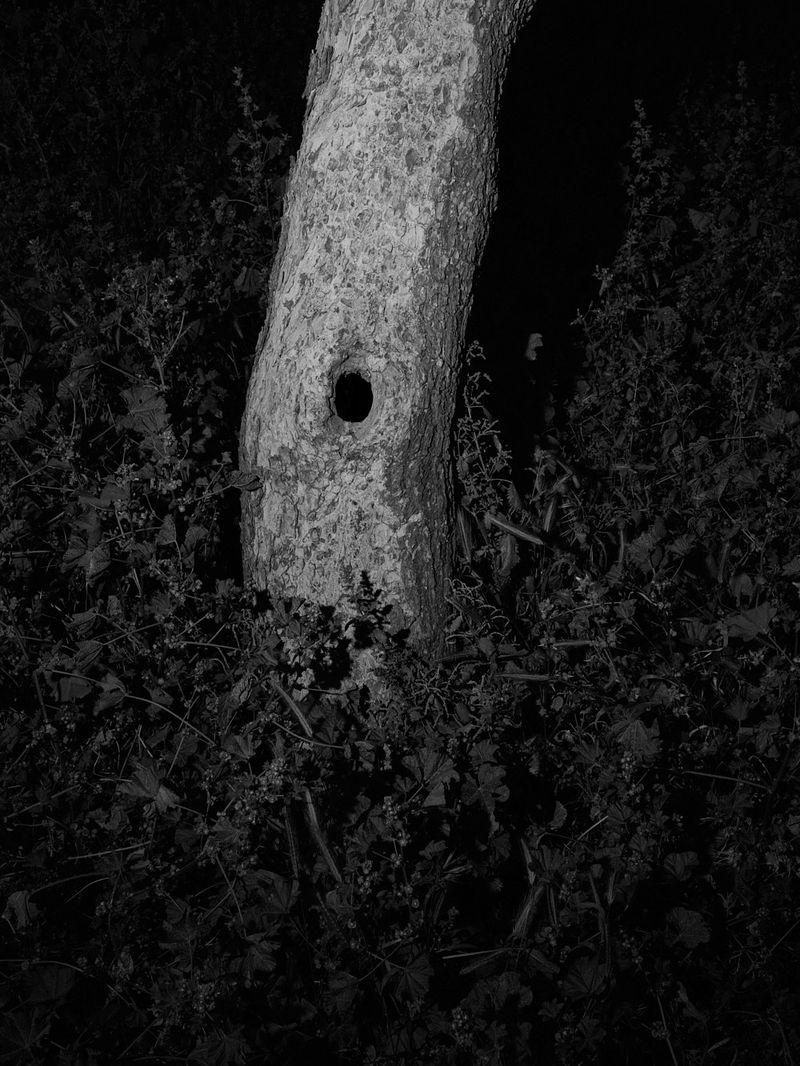 © Nicolas Hermann - Look out 14