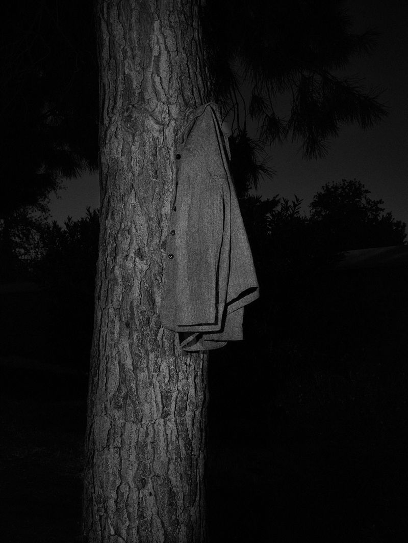 © Nicolas Hermann - Look out 13