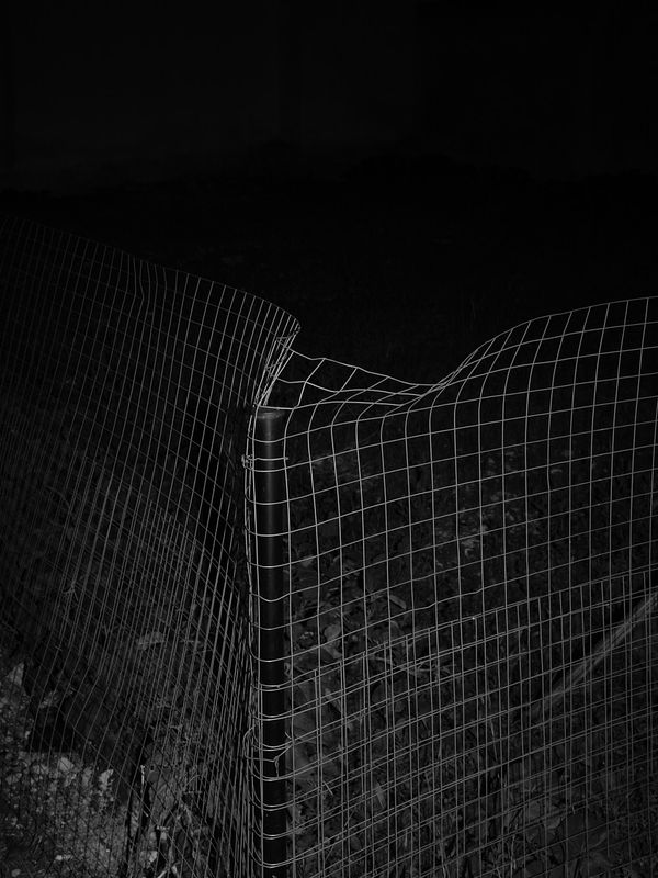 © Nicolas Hermann - Look out 02