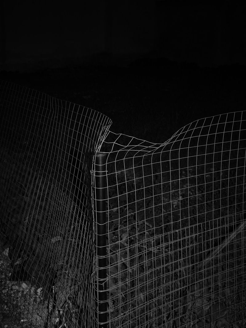 © Nicolas Hermann - Look out 02