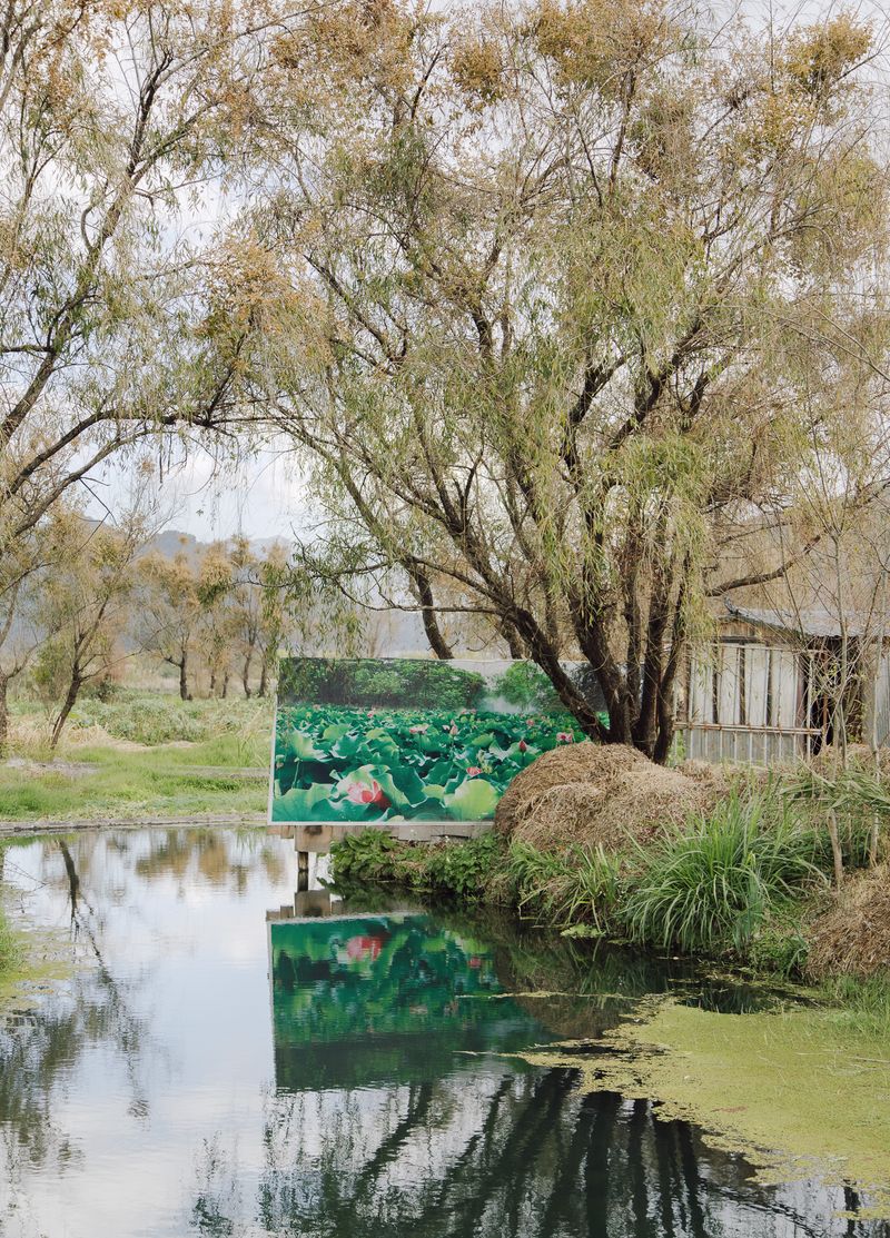 © Leafy Yun Ye - A billboard depicts the future blooming of the lotus pond, Tengchong, China, 2023.