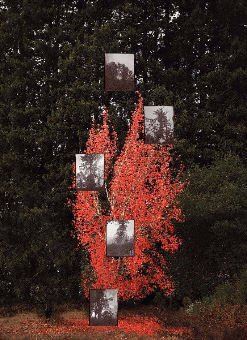 © Leafy Yun Ye - Image from the Now and Then photography project