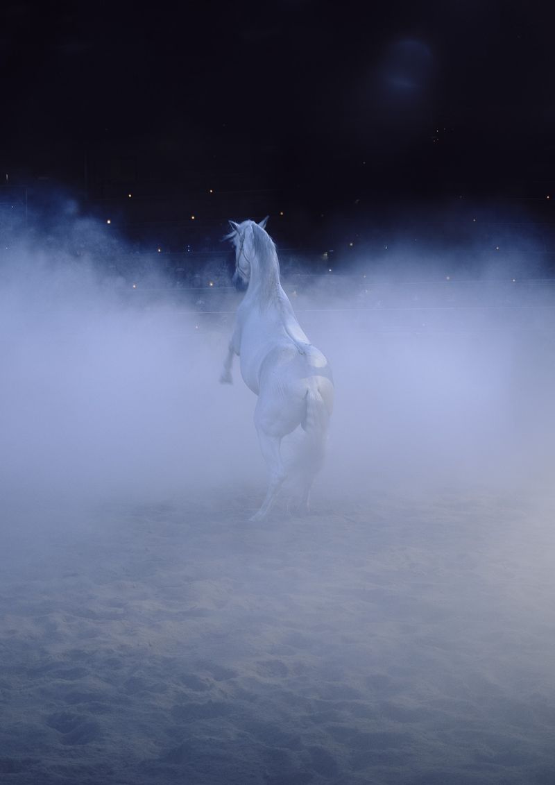 © Leafy Yun Ye - A white horse rears in the dust, Los Angeles, 2025.