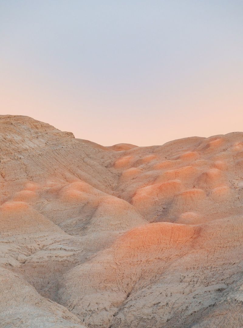 © Leafy Yun Ye - Circadian Rhythms