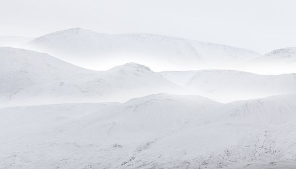 © Leafy Yun Ye - Mind Wander