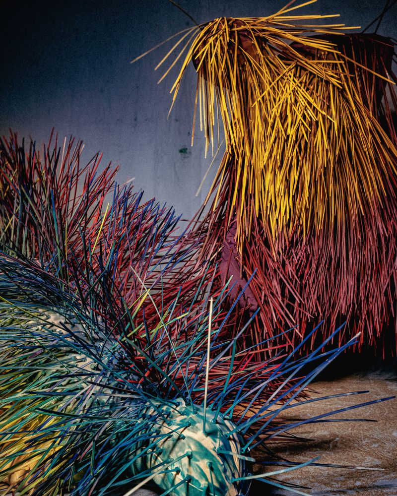 © Victoria Ruiz - Image from the PARA TÚ ALTAR: LAS FUERZAS DIVINAS DE LA NATURALEZA (For Your Altar: The Divine Forces of Nature) photography project