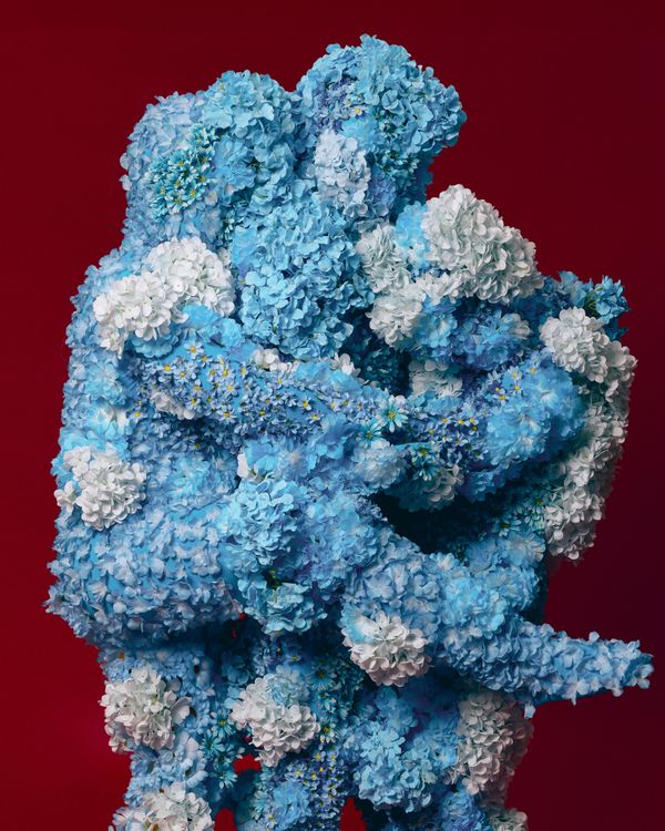 © Victoria Ruiz - Image from the We Knew the World in Fragments of Color photography project