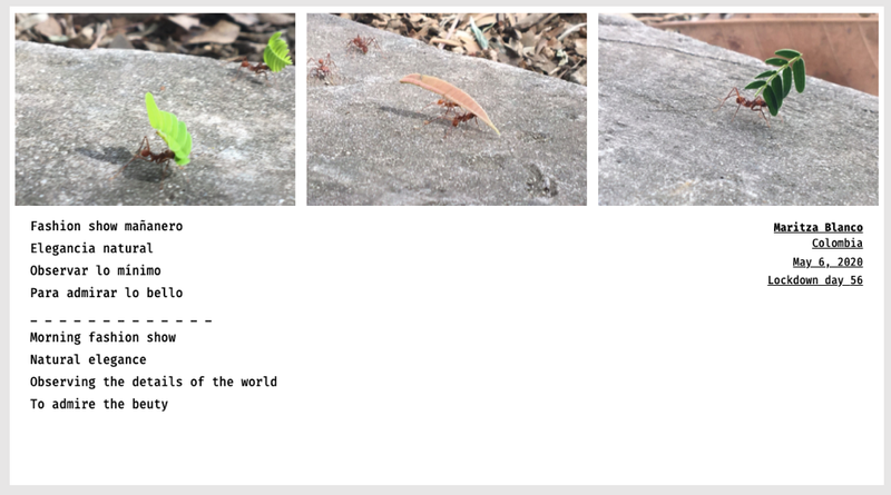 © Sandra Gaudenzi and Sandra Tabares Duque - Image from the Corona Haikus photography project