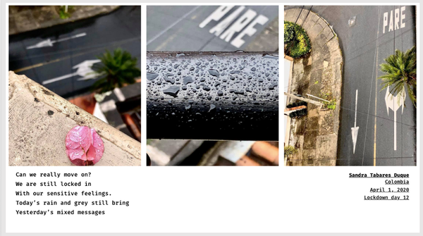 © Sandra Gaudenzi and Sandra Tabares Duque - Image from the Corona Haikus photography project