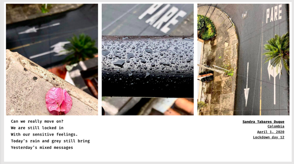 © Sandra Gaudenzi and Sandra Tabares Duque - Image from the Corona Haikus photography project