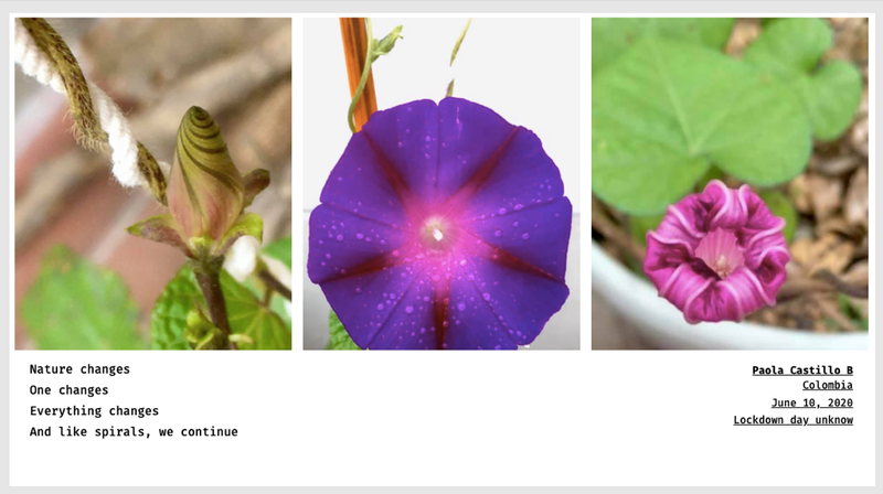 © Sandra Gaudenzi and Sandra Tabares Duque - Image from the Corona Haikus photography project