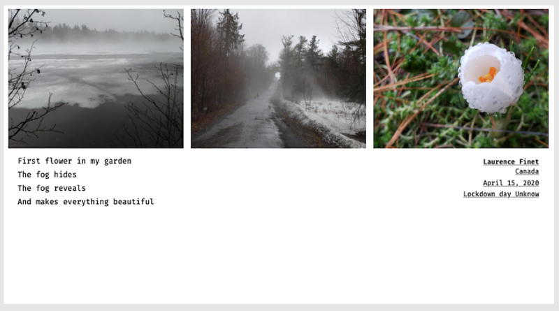 © Sandra Gaudenzi and Sandra Tabares Duque - Image from the Corona Haikus photography project