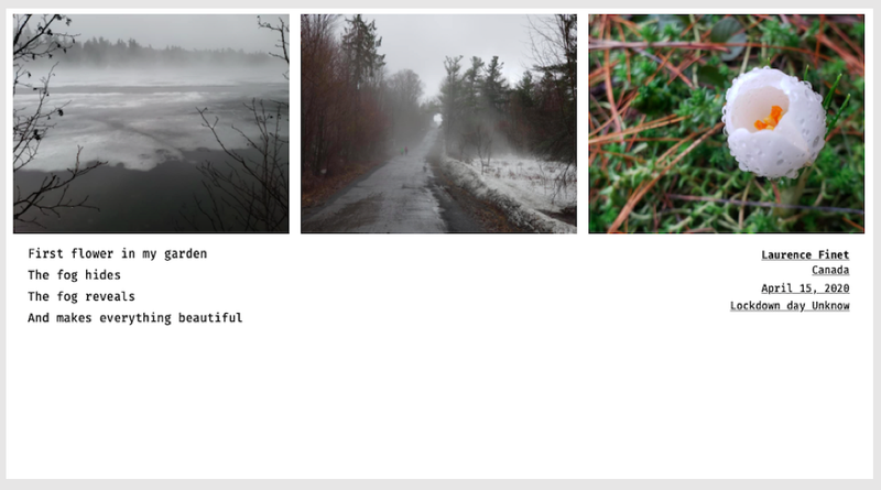 © Sandra Gaudenzi and Sandra Tabares Duque - Image from the Corona Haikus photography project