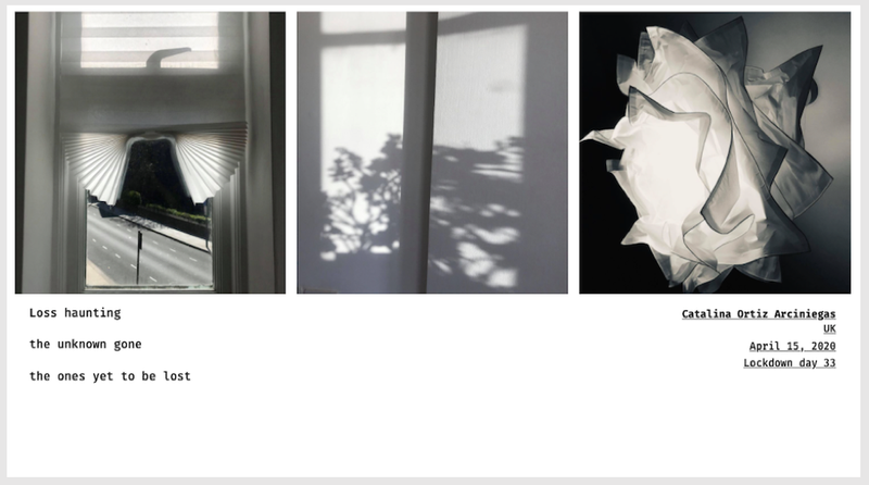 © Sandra Gaudenzi and Sandra Tabares Duque - Image from the Corona Haikus photography project