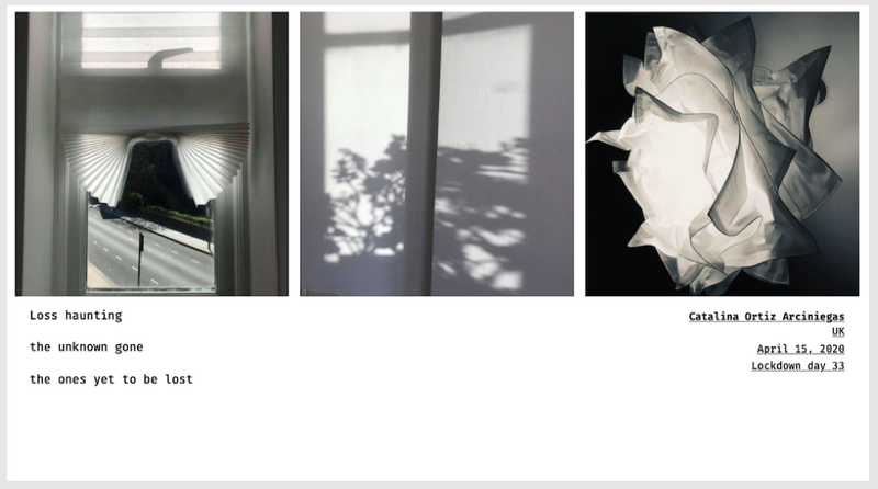 © Sandra Gaudenzi and Sandra Tabares Duque - Image from the Corona Haikus photography project