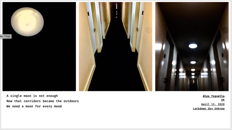 © Sandra Gaudenzi and Sandra Tabares Duque - Image from the Corona Haikus photography project