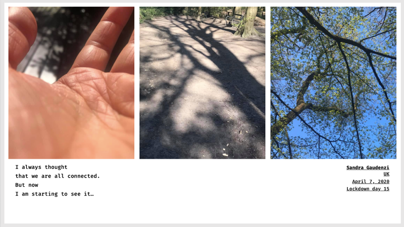 © Sandra Gaudenzi and Sandra Tabares Duque - Image from the Corona Haikus photography project