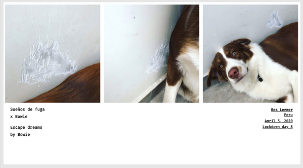 © Sandra Gaudenzi and Sandra Tabares Duque - Image from the Corona Haikus photography project