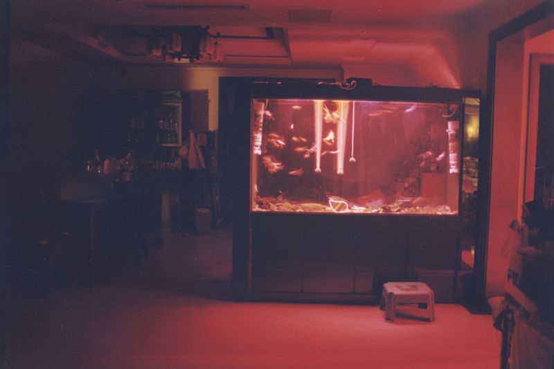 © Yuhan Cheng - Image from the The Feminine Sun photography project