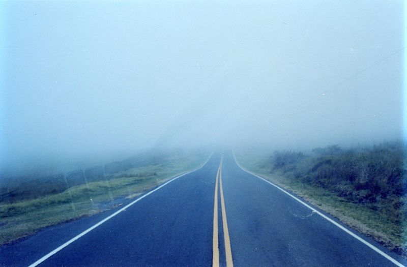 © Yuhan Cheng - Up to the next junction, you can turn left or go straight. What you can't do is stay. Hilo, 2023.