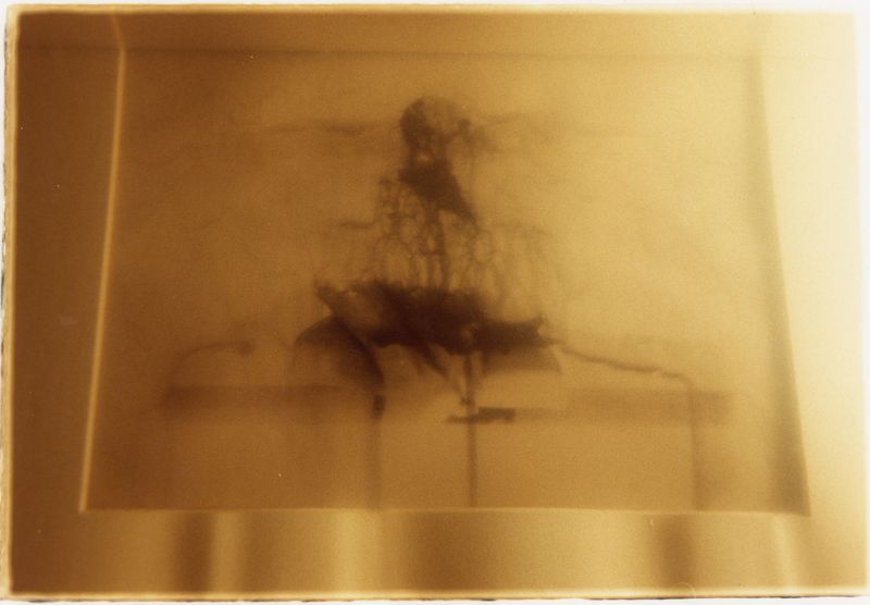 © Yuhan Cheng - Deterioration as a becoming event. New York City, 2024.