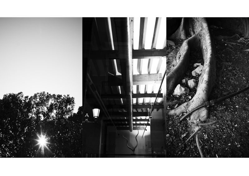 © Jose M. Martinez - All is Mind